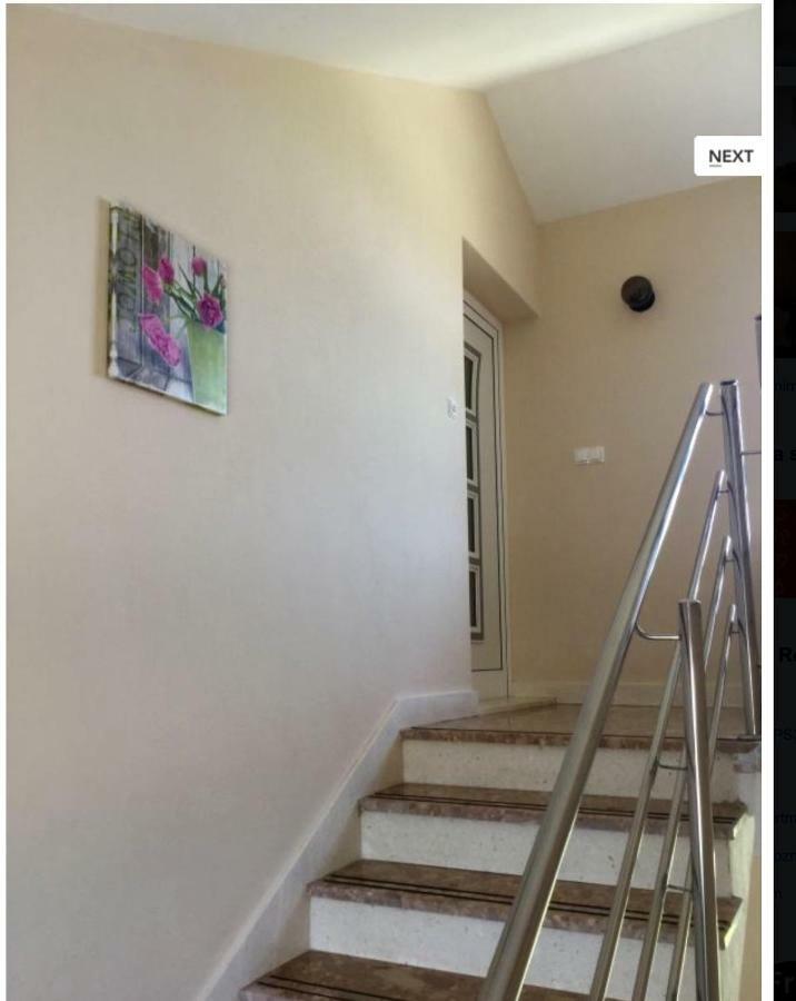 Apartments Antea ロゴズニッツァ エクステリア 写真